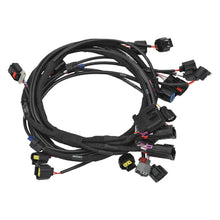 Load image into Gallery viewer, Photo - out of package