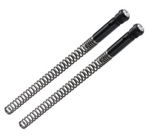 Load image into Gallery viewer, Photo - Primary