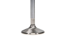 Load image into Gallery viewer, Manley Ford 429 Exhaust Valve Kit - 1.880in Head Dia. 5.170in O/A Length, 0.3415in Stem
