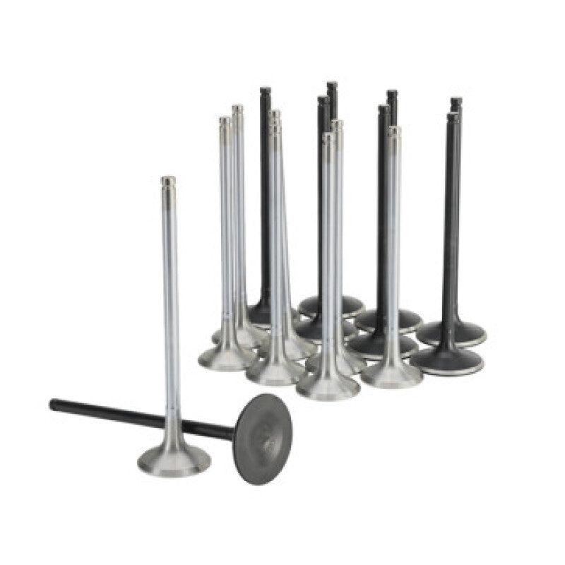 Skunk2 Honda K20C1 Alpha Series Inatke & Exhaust Valve Set (Standard Compression)