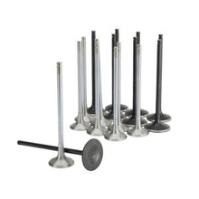 Load image into Gallery viewer, Skunk2 Honda K20C1 Alpha Series Inatke &amp; Exhaust Valve Set (Standard Compression)