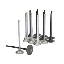 Skunk2 Honda K20C1 Alpha Series Inatke & Exhaust Valve Set (Standard Compression)