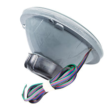 Load image into Gallery viewer, Photo - Mounted