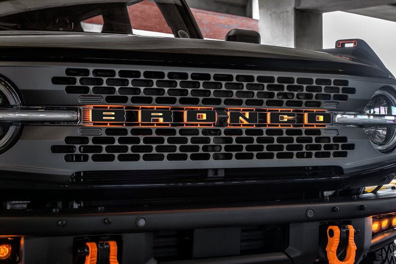 ORACLE Lighting Universal Illuminated LED Letter Badges - Matte Black Surface Finish - D NO RETURNS