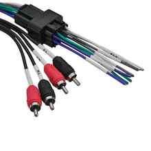 Load image into Gallery viewer, Photo - Primary