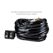 Load image into Gallery viewer, Photo - Primary