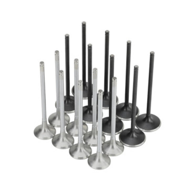 Skunk2 Honda K20C1 Alpha Series Inatke & Exhaust Valve Set (Standard Compression)