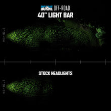 Load image into Gallery viewer, Photo - Primary