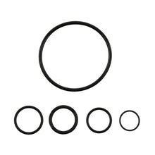 Load image into Gallery viewer, Photo - Primary