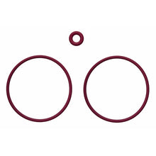 Load image into Gallery viewer, Photo - Primary