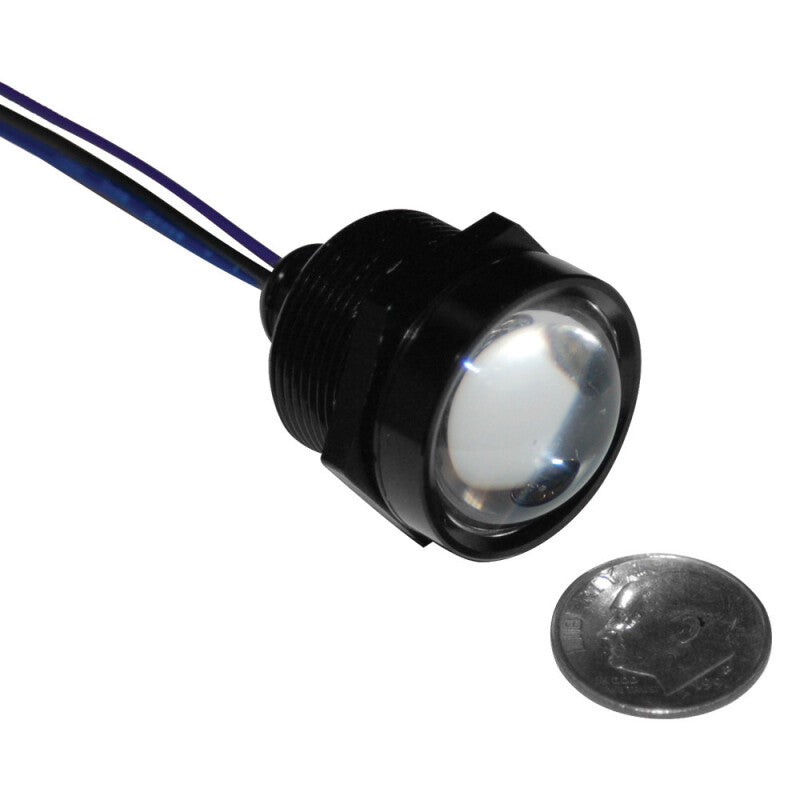 Letric Lighting Royal Flsh Led 1in Blk/Rd/Amb