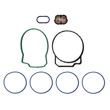 Load image into Gallery viewer, Photo - Primary