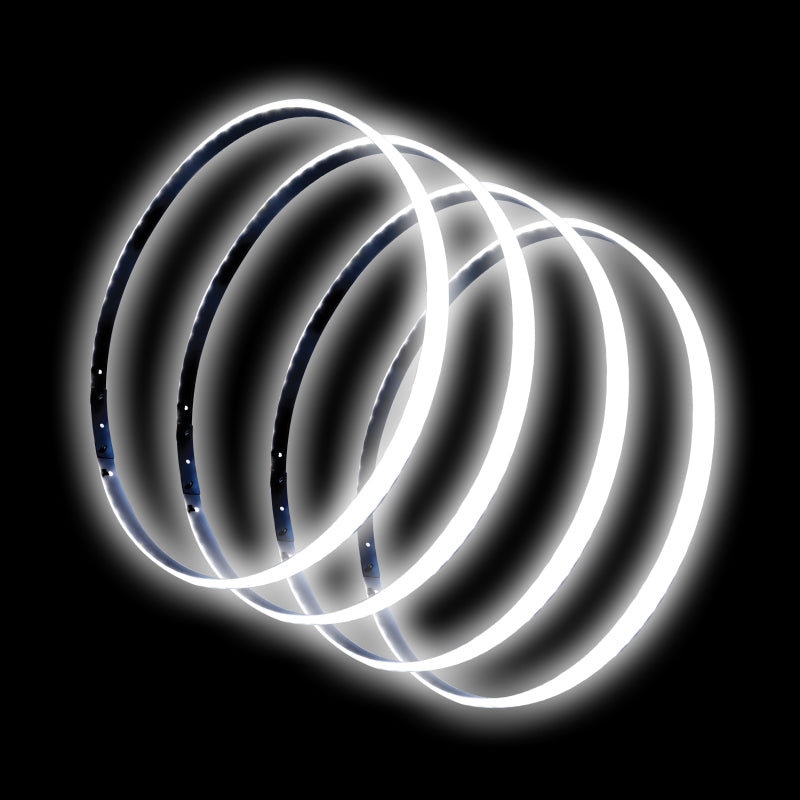 Oracle LED Illuminated Wheel Rings - White NO RETURNS