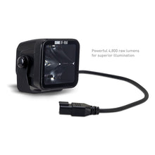 Load image into Gallery viewer, Photo - Primary