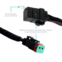 Load image into Gallery viewer, Photo - Primary