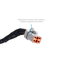 Load image into Gallery viewer, Photo - Primary