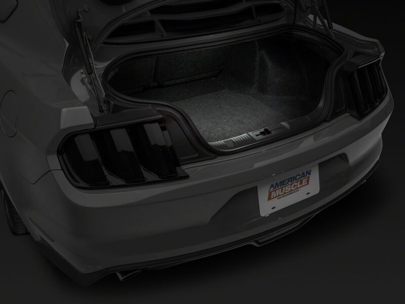 Raxiom15-23 Ford Mustang Axial Series Stage 2 Interior LED Lighting Kit- Cool White