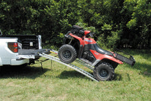 Load image into Gallery viewer, QuadBoss Arched Pair Ramp 12x89