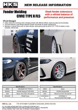 Load image into Gallery viewer, HKS Fender Molding FL5