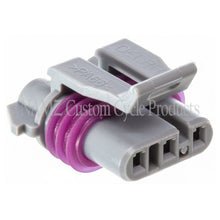 Load image into Gallery viewer, Photo - Primary