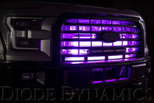Load image into Gallery viewer, Diode Dynamics RGBW Grille Strip Kit 2pc Multicolor