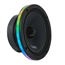 Load image into Gallery viewer, Photo - Primary