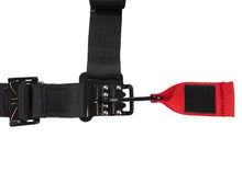 Load image into Gallery viewer, PRP 4.2 Harness Latch and Link- Blue