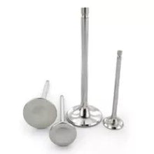 Load image into Gallery viewer, Ferrea Chevrolet Big Block (11/32) 1.6 Head 11/32 Stem Dia Super Alloy Exhaust Valve - Set of 8