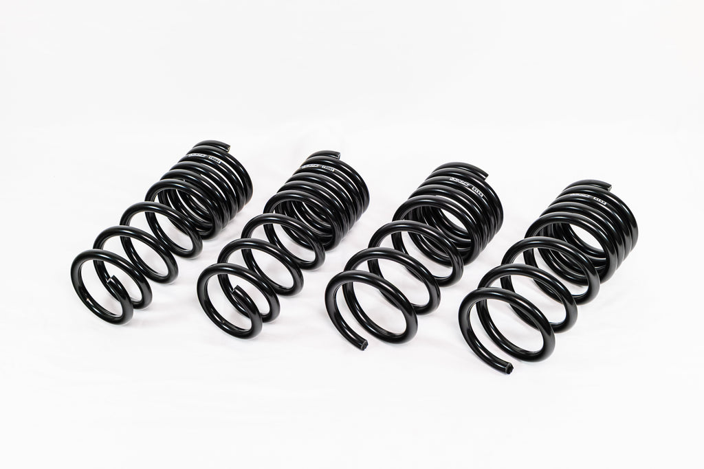 Nissan 370Z Z34 (2009–2020) Spec-R Lowering Springs
