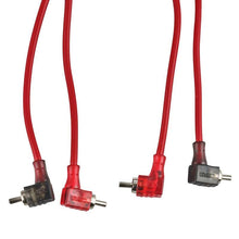 Load image into Gallery viewer, Photo - Primary