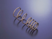 Load image into Gallery viewer, Tein 02+ OZ/ 04+ Ralliart Lancer H. Tech Springs