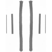 Load image into Gallery viewer, Photo - Primary