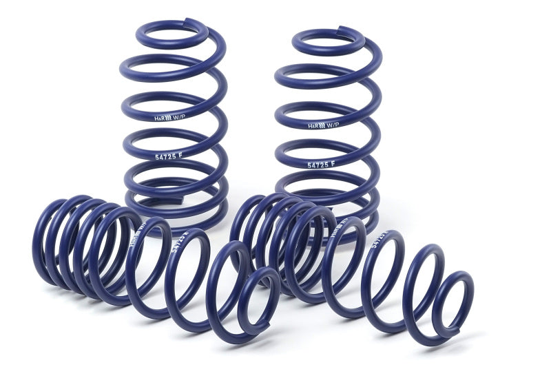 H&R 25+ Mercedes-Benz AMG E53 Hybrid W214 Adjustable Lowering Springs