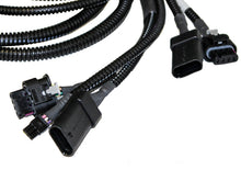 Load image into Gallery viewer, Photo - Unmounted