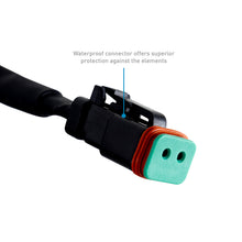 Load image into Gallery viewer, Photo - Primary