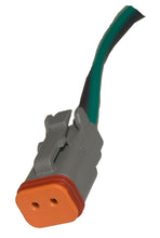 Load image into Gallery viewer, Photo - Primary