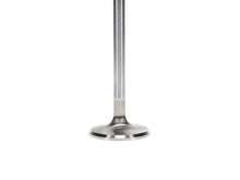 Load image into Gallery viewer, Manley Volkswagen 1.2L Type I Exhaust Valve Kit 33.00mm Head Dia. 4.405in O/A Length, 0.3130in Stem