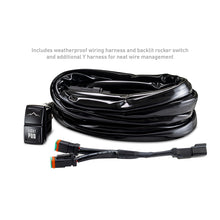 Load image into Gallery viewer, Photo - Primary