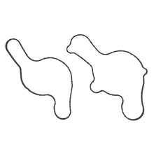 Load image into Gallery viewer, Photo - Primary