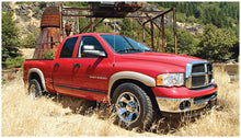 Load image into Gallery viewer, Photo - lifestyle view