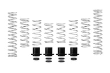Load image into Gallery viewer, Eibach 18-21 Polaris RZR XP Turbo Pro-UTV Stage 2 Performance Spring System (Set of 8 Springs)
