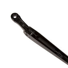 Load image into Gallery viewer, Photo - Unmounted