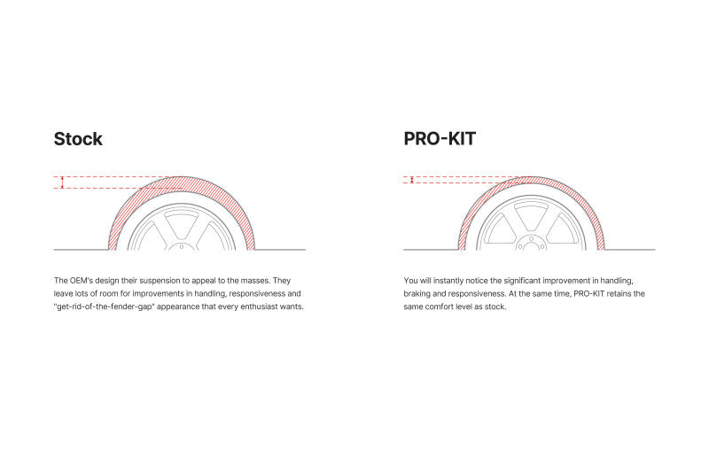 Eibach Pro-Kit EV for 24-25 Tesla Model 3 Performance AWD