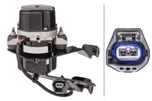 Load image into Gallery viewer, Photo - Primary