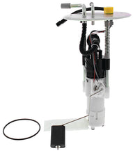 Load image into Gallery viewer, Photo - Primary