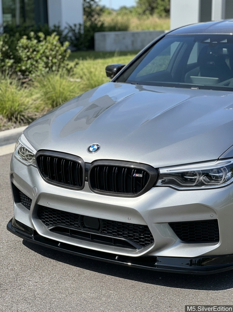BMW 5 Series G30 Carbon Fiber Front Grille (2017+)