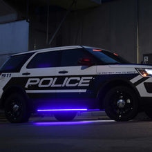 Load image into Gallery viewer, Photo - Primary