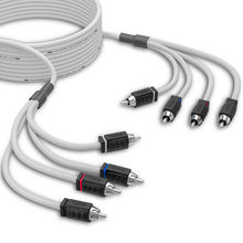 Load image into Gallery viewer, Photo - Primary