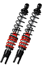 Load image into Gallery viewer, Photo - Primary