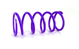 EPI 16-23 Can-Am 800-1000 Maverick/Defender/Commander/ X3 Primary Spring Dark Purple